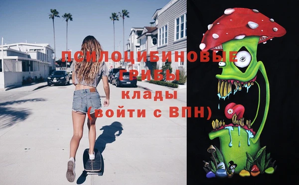 ешки Белокуриха
