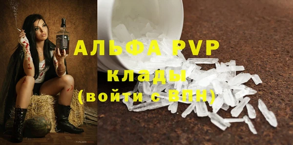 дживик Беломорск