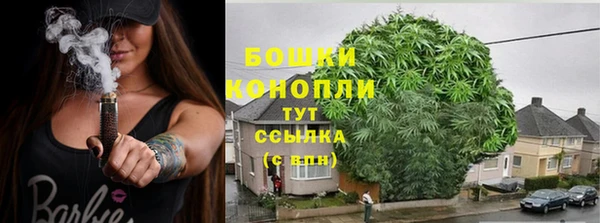 ешки Белокуриха