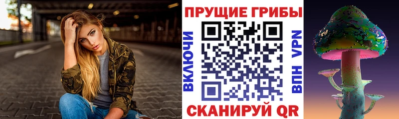МЕГА ONION  закладки  Гатчина  Галлюциногенные грибы мухоморы 