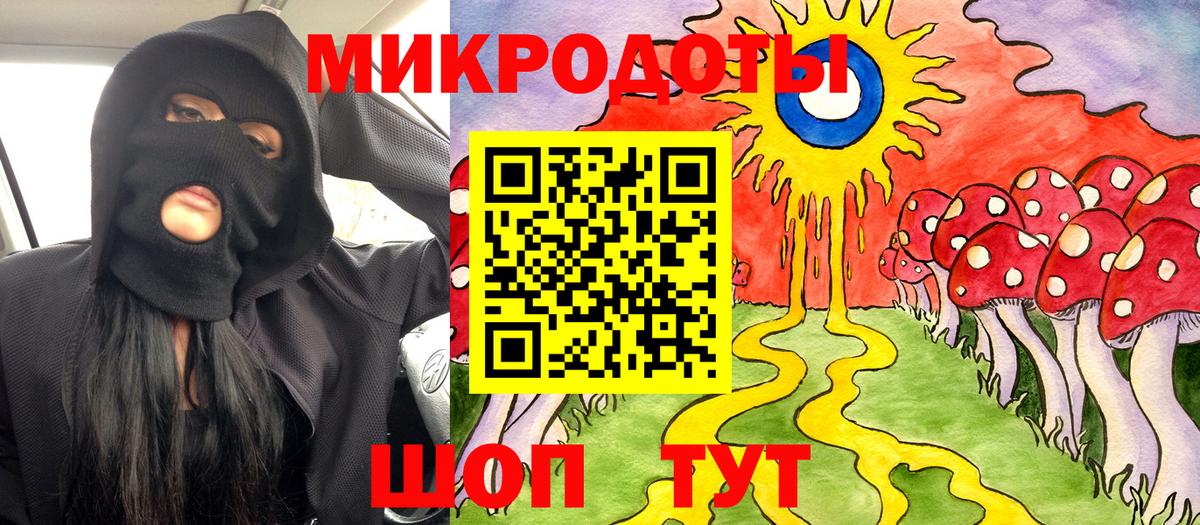 Псилоцибиновые грибы мицелий Гатчина